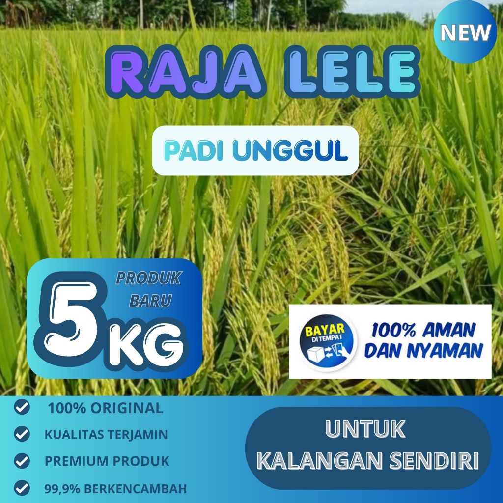 benih padi rojo lele super 5kg