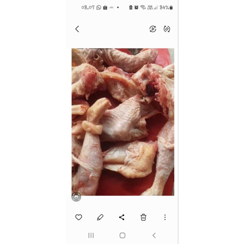 ayam merah potong