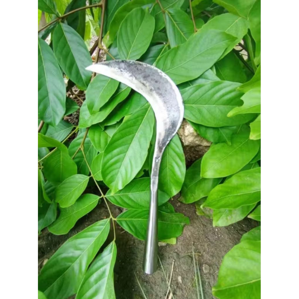 Alat Perkebunan/Aret Rumput padi/Aret Pengaritan Gagang Anti Copot