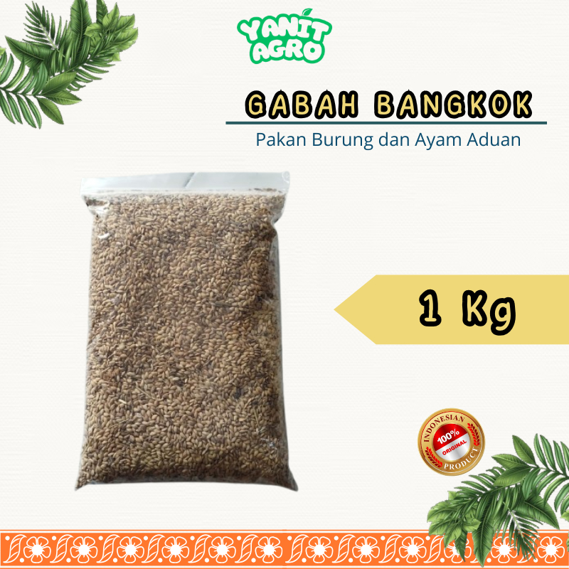 Gabah Bangkok Pakan Burung dan Ayam Aduan 1 Kg