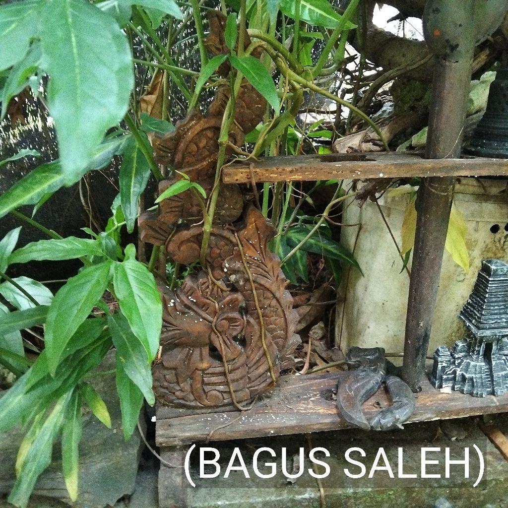 JAGRAK KERIS LAWASAN