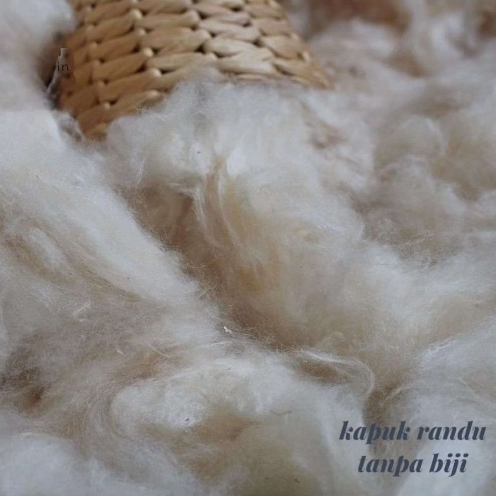 KAPUK RANDU ASLI 100% | KAPUK RANDU 1KG | KAPUK RANDU TANPA BIJI