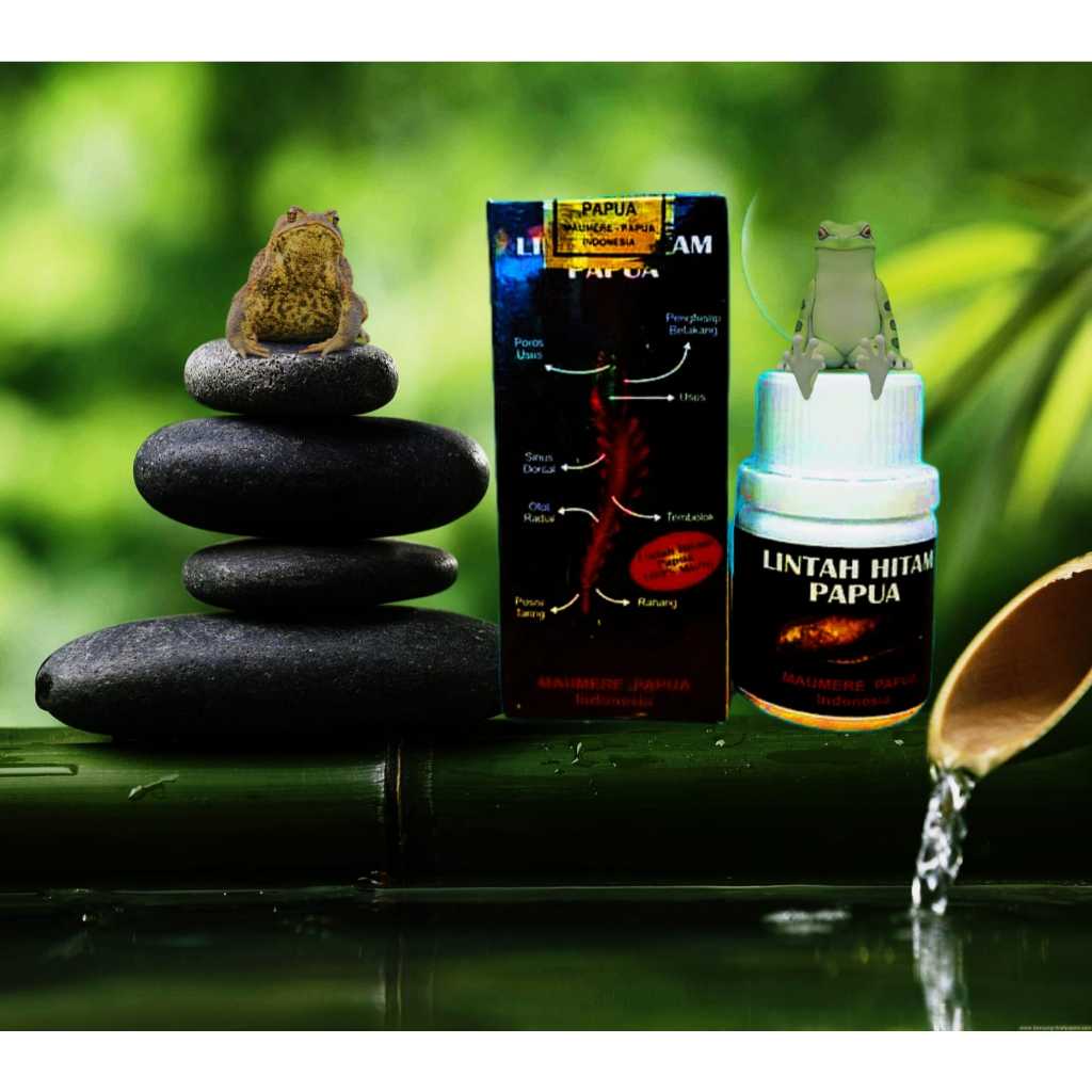 Minyak herbal minyak pijat tradisional lintah hitam MERAH papua original minyak kesehatan
