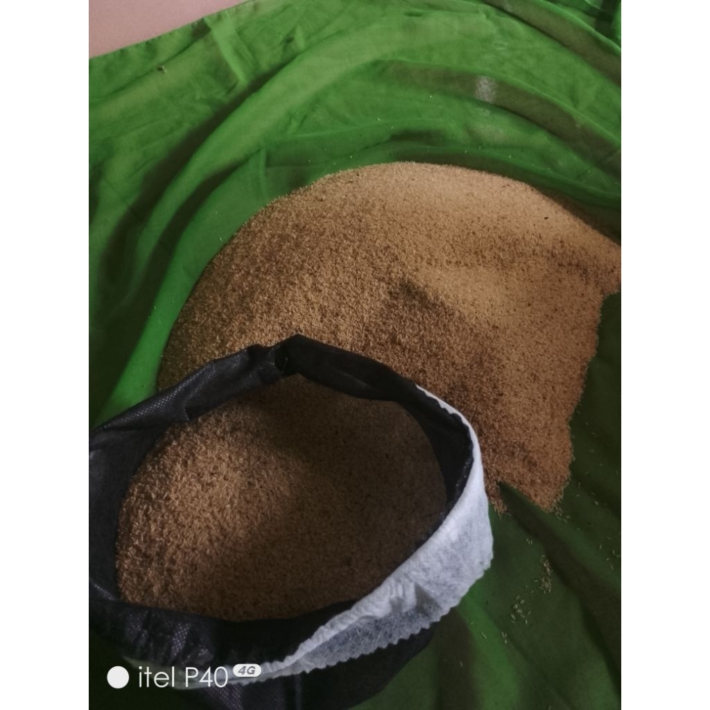 Aji telur jangkrik madu 500gram untuk budidaya jangkrik