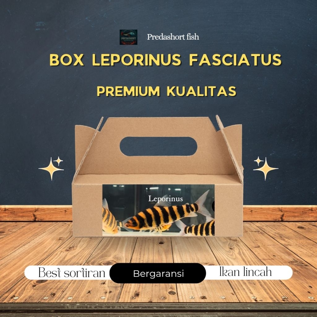 BOX kardus isi Leporinus Fasciatus / ikan kaos kaki berkualitas bergaransi