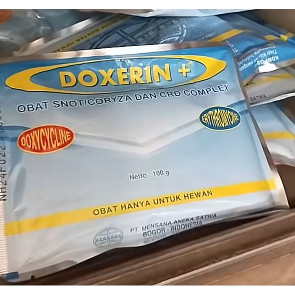 doxerin plus 100g paling exp panjang