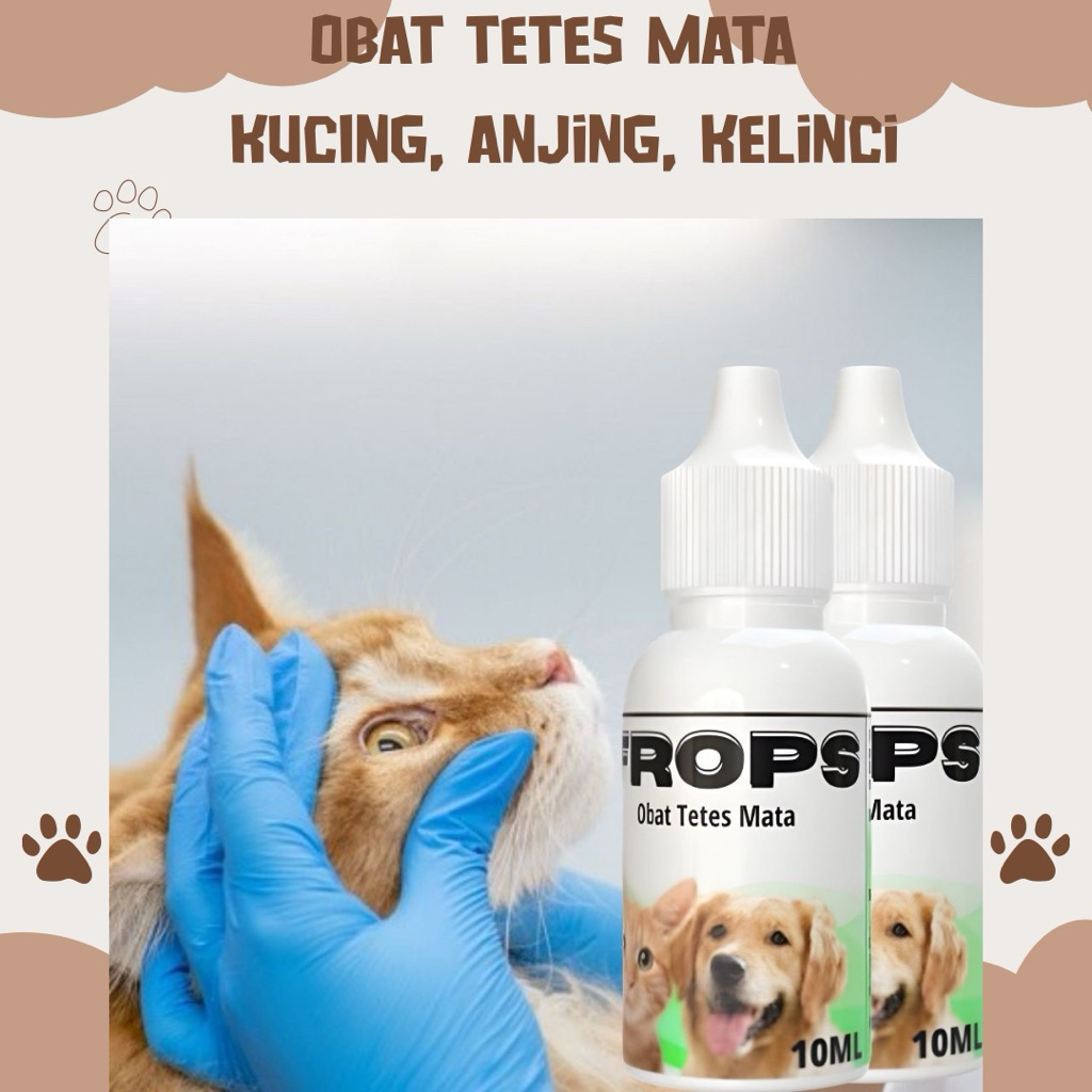 Tetes Mata Kucing