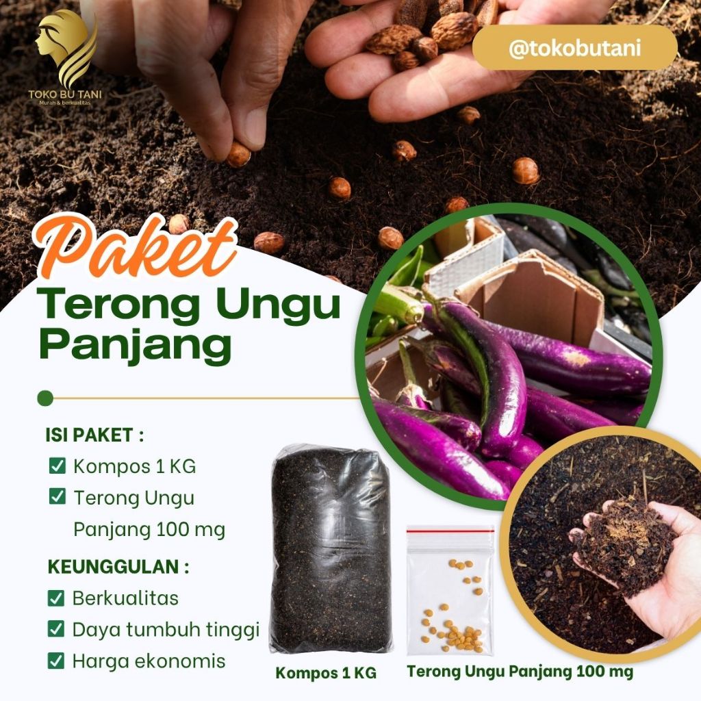 Benih Terong Ungu Panjang Siap Tanam Benih Sayur Terong Ungu Panjang Siap tanam