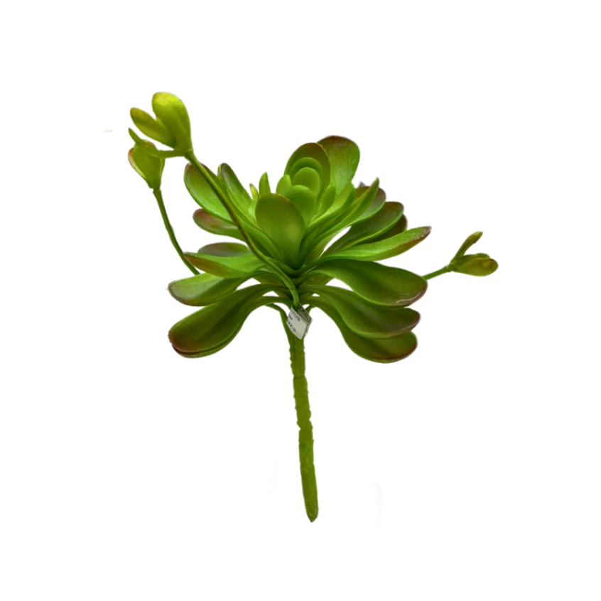 Kaktus BLUE LOTUS / Daun Kaktus / Kaktus Hias / Kaktus Palsu / Daun Hias