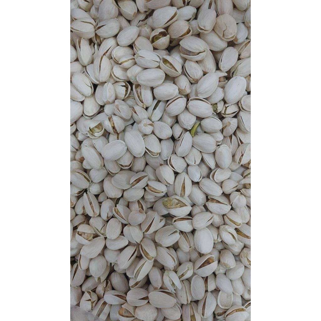 kacang pistachio cangkang panggang roasted salted pistachio