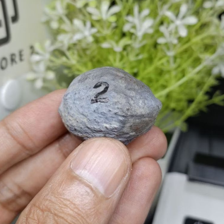 Muncang Adu Yanti Denpom Jr kode 2
