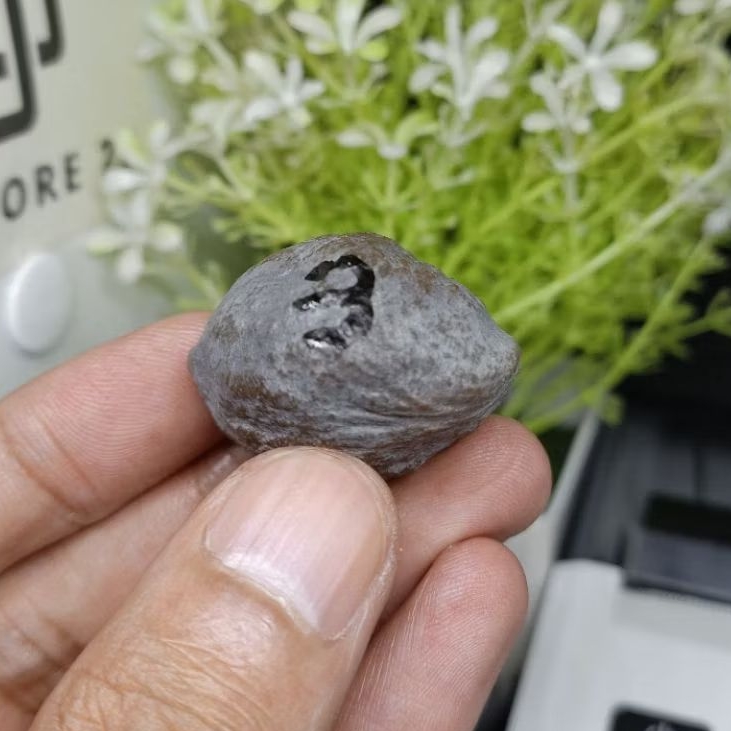 Muncang Adu Yanti Denpom Jr kode 3
