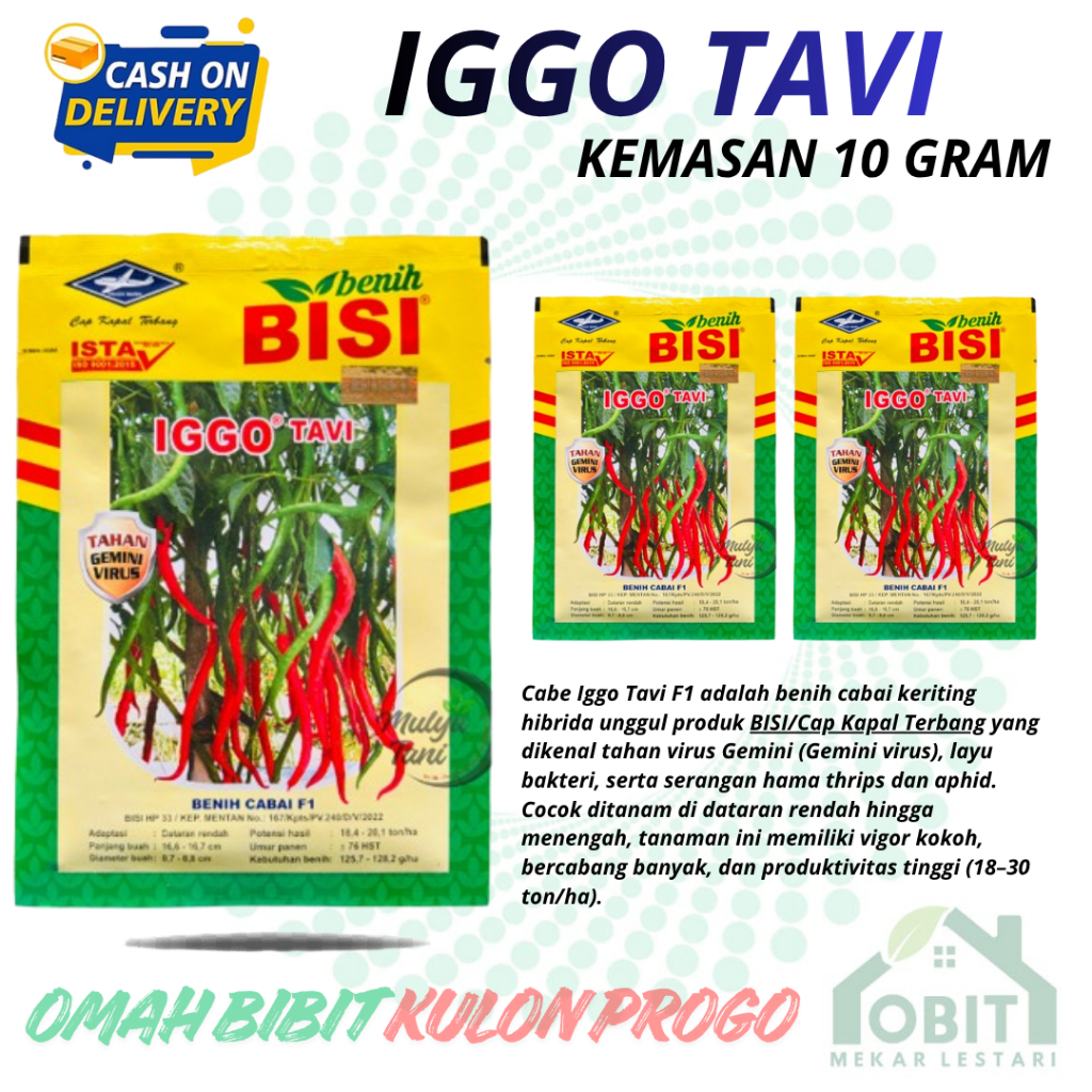 benih bibit cabe berkualitas IGGO tavi.... ISI 10 GRAM benih murni. cap kapal terbang BENIH DI JAMIN