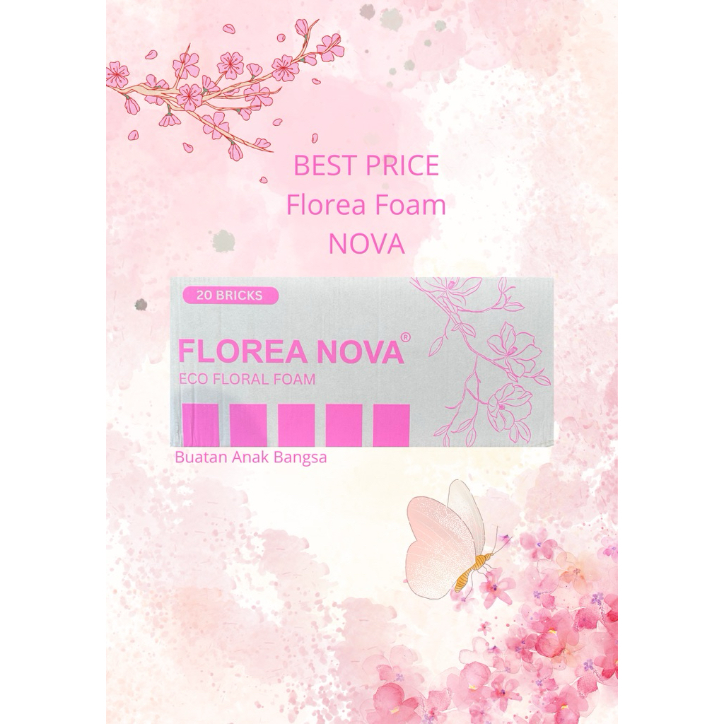 florea nova / oasis basah / floral foam / busa basah