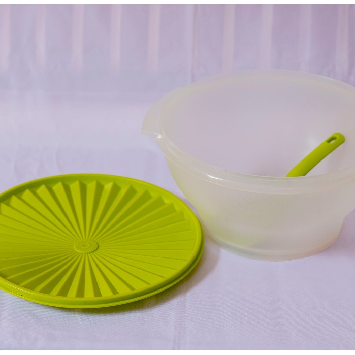 Tupperware Rice Bowl