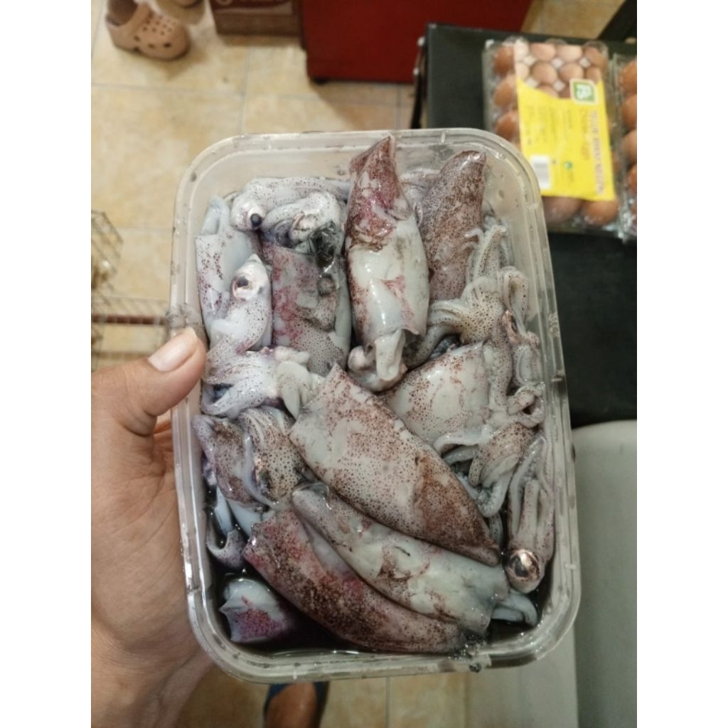 Cumi segar mix telur berat 1kg