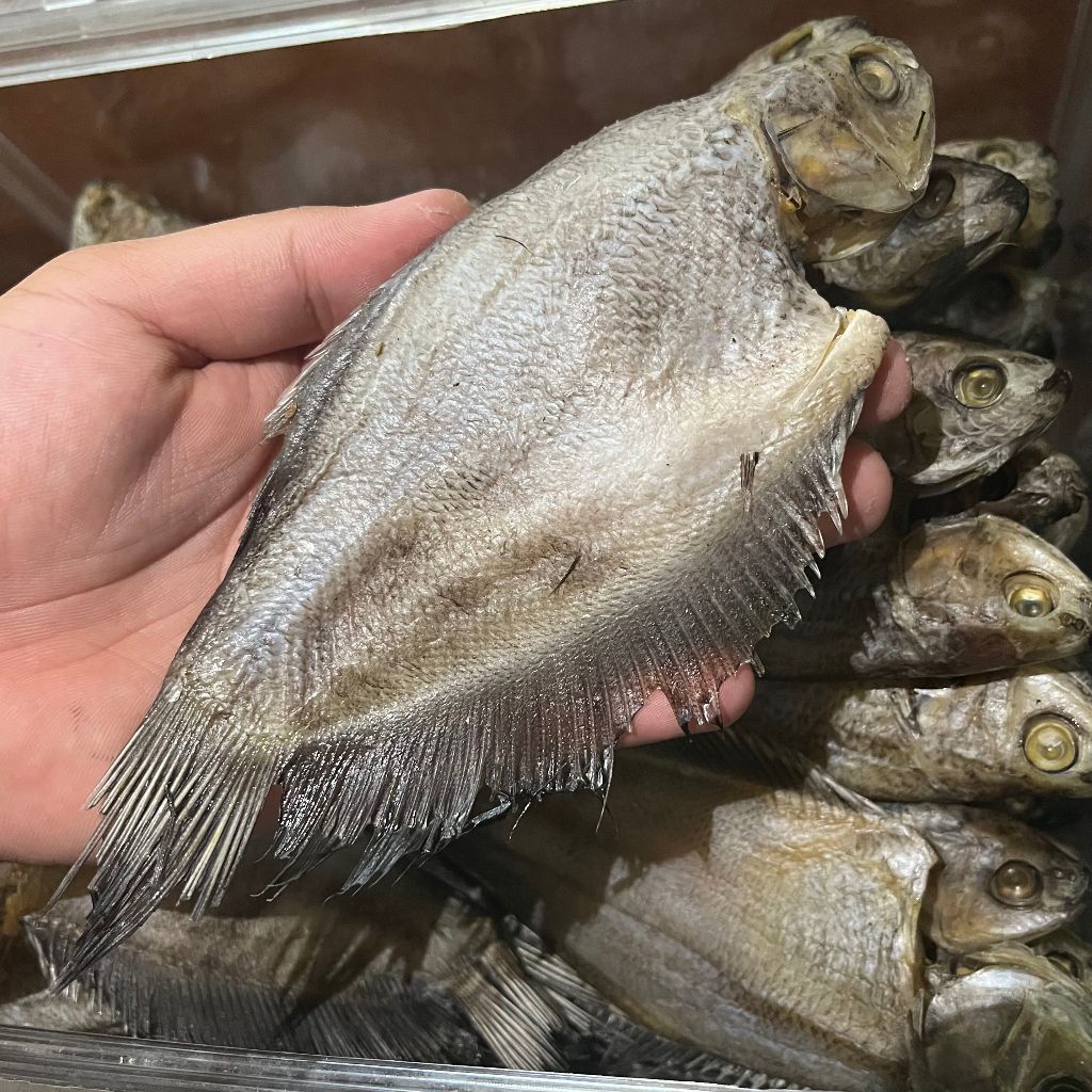 Sepat Siam PREMIUM Asin Gurih | Ikan Asin Sepat Kering Berkualitas