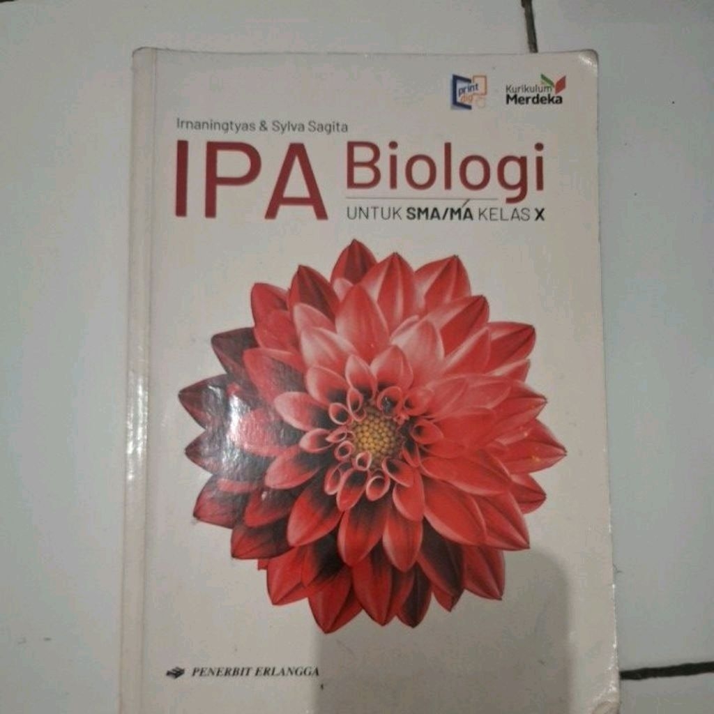biologi erlangga kelas 10 kurmer