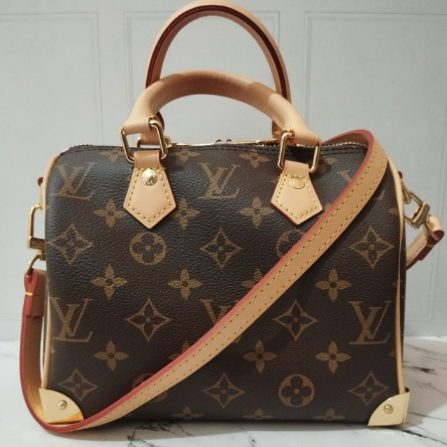 LV Speedy Trunk Monogram