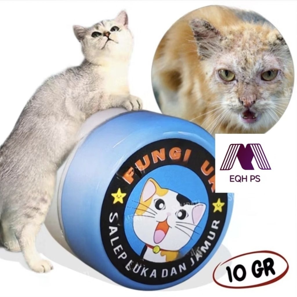 OBAT SALEP LUKA Luar Terbuka dan JAMUR Kucing Gatal Kucing Aman Dijilat Terjilat FUNGILUK Fungi