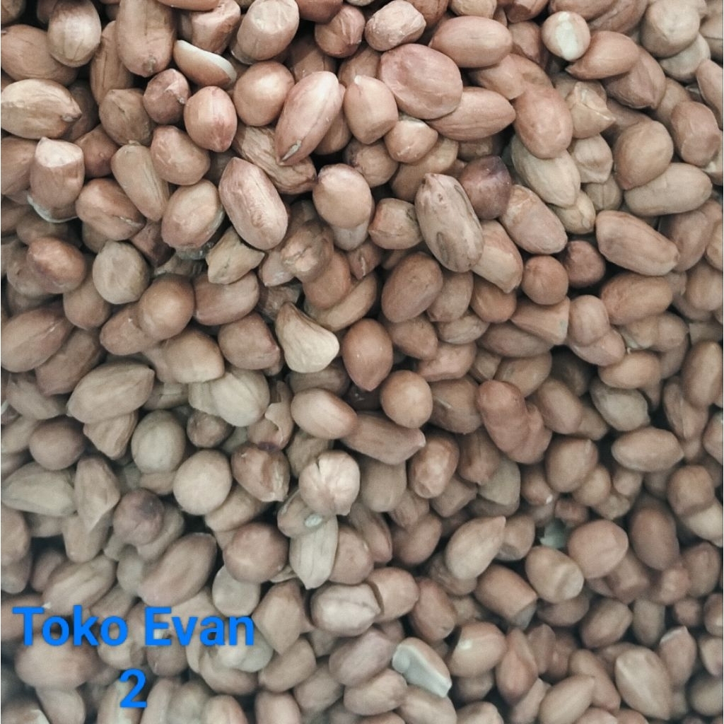 Kacang tanah 1 kg