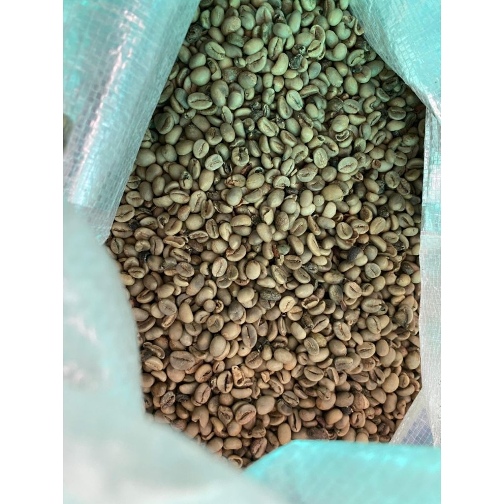 Biji Kopi Green bean Robusta Dampit asalan | 10 kg |