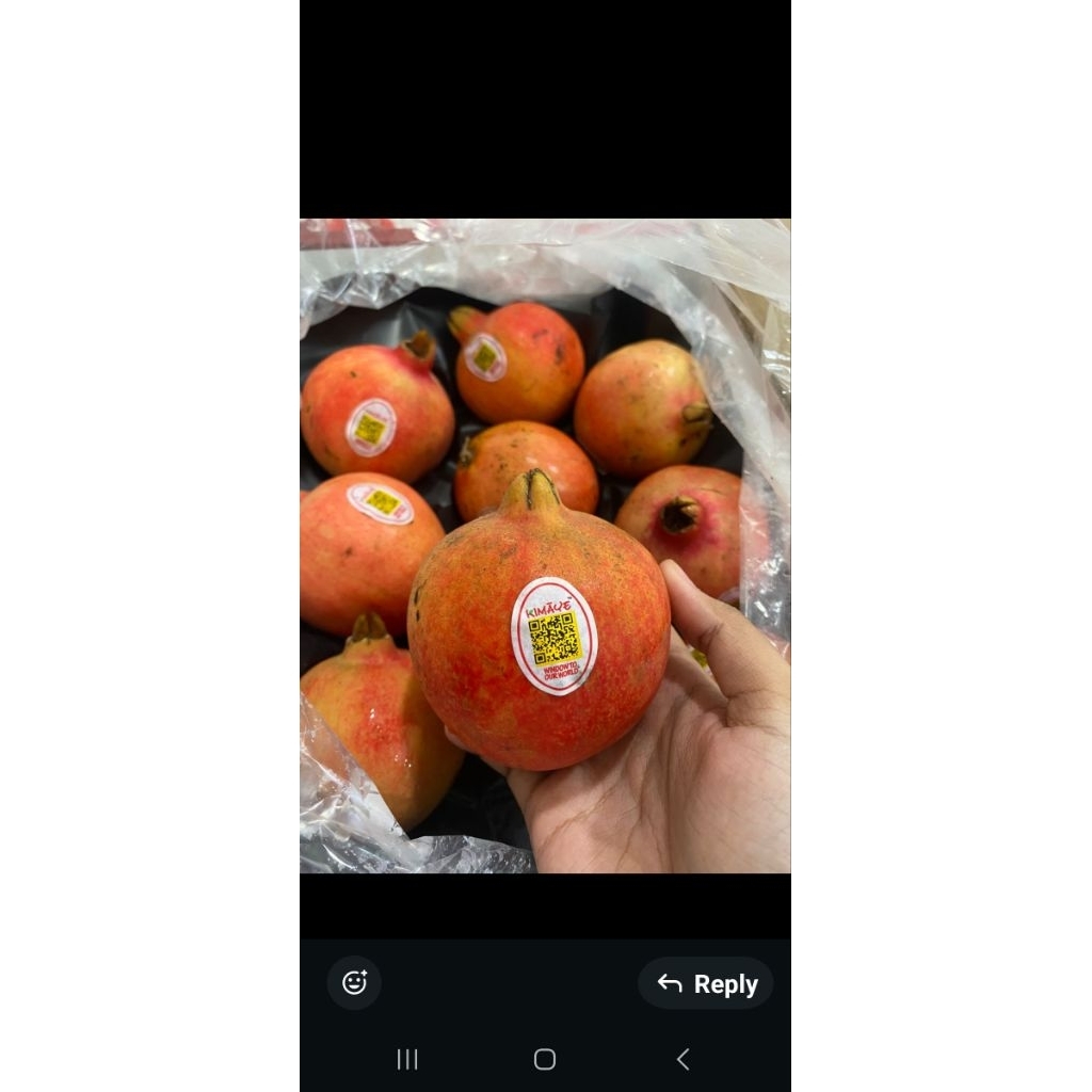 DELIMA. BUAH DELIMA POMEGRANATE. POME BUAH DELIMA