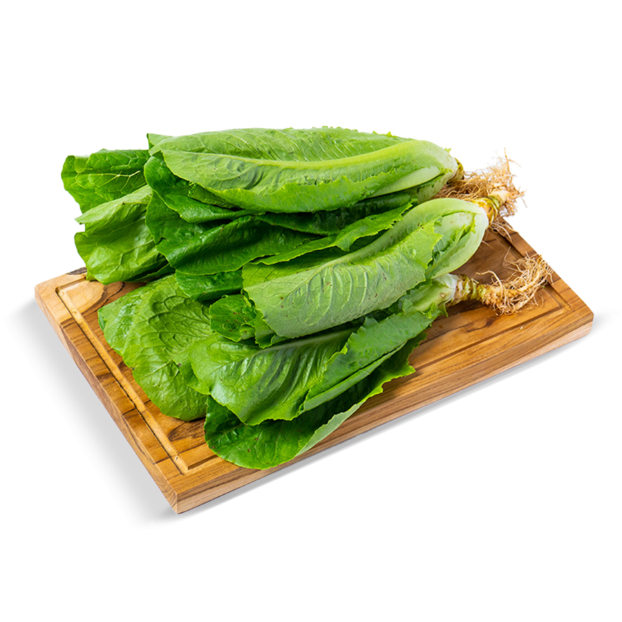 Selada Romaine Organik 250gram