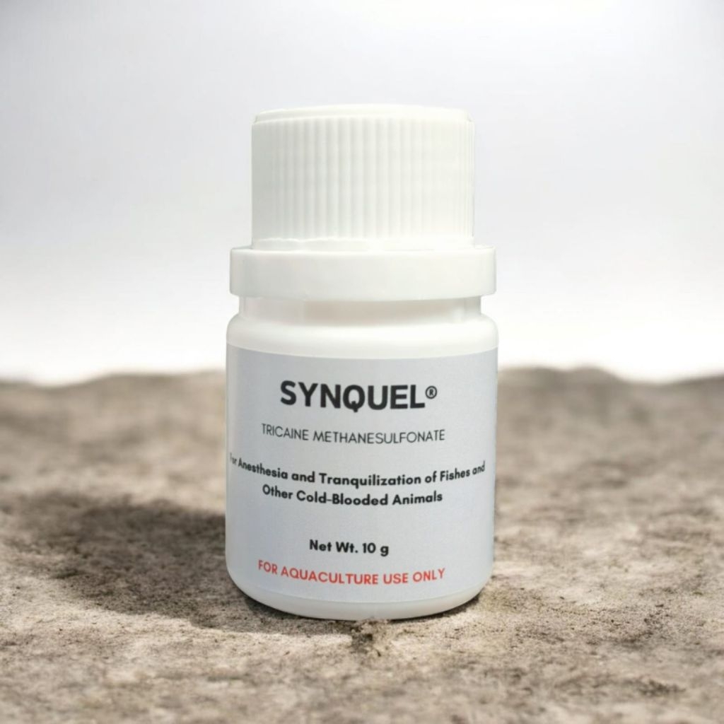 SYNQUEL / MS222 10gr