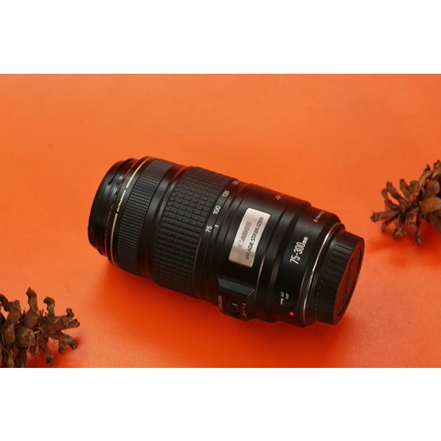 Canon EF 75-300mm F4-5.6 IS USM Unit Olnly C1450