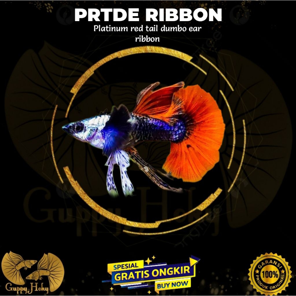Hiasan PRTDE RIBBON Top Greade