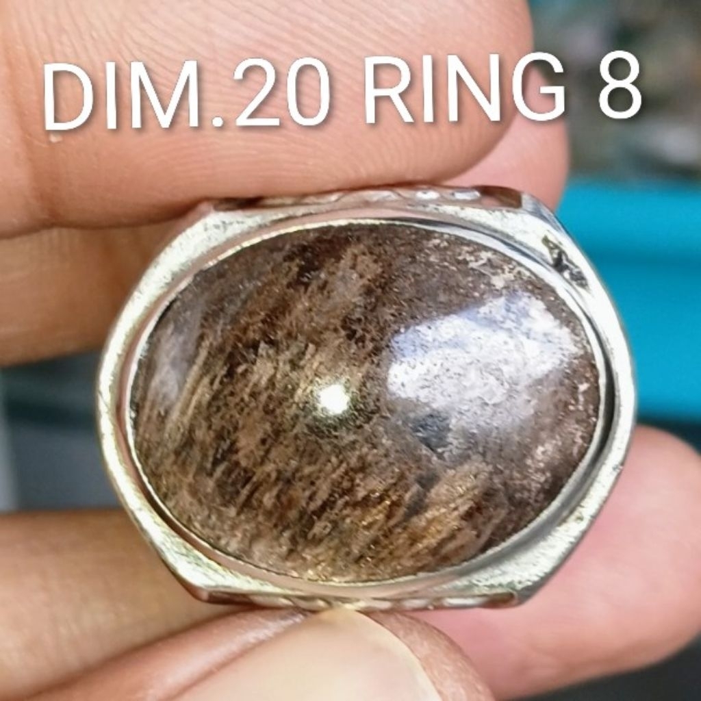 BATU BULU MACAN JEMBER LAWASAN TOP HQ SANGAT LANGKA bukan basaltic glass lumajang