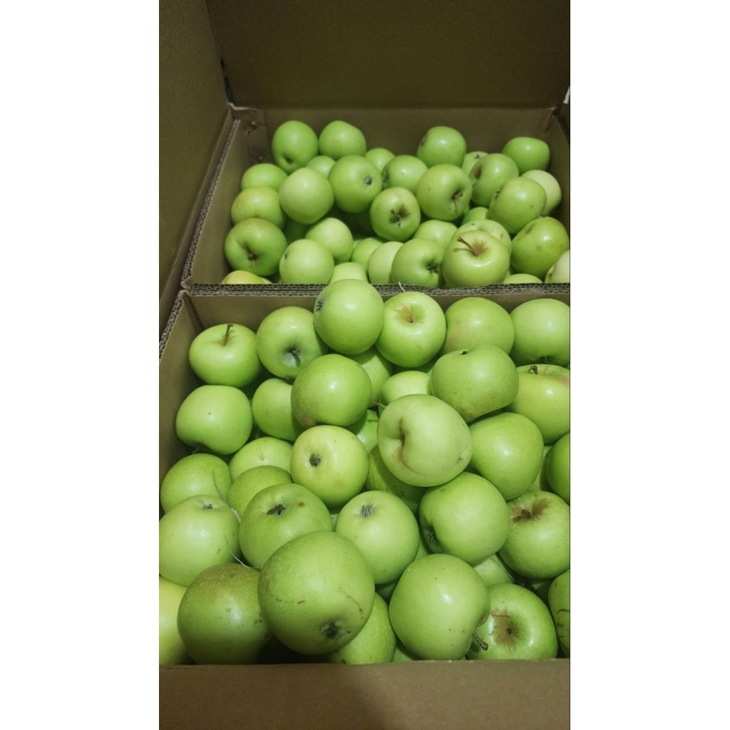 APEL MANALAGI MALANG 1KG (ISI 15-16 BIJI)