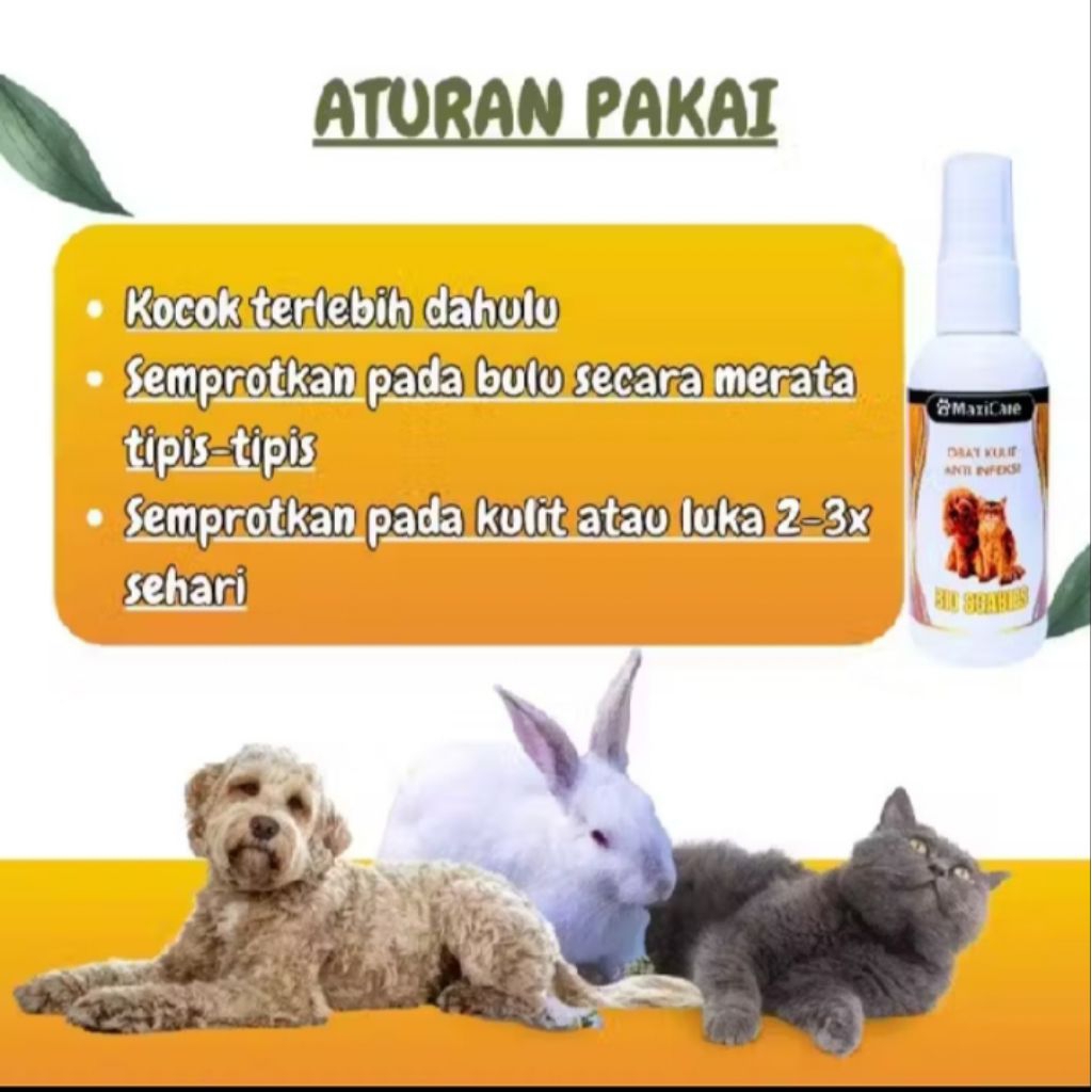 OBAT JAMUR  KUCING ANJING  / OBAT SCABIES KUTU KUCING  ANJING / OBAT BULU KUCING ANJING SCABIES KUCI