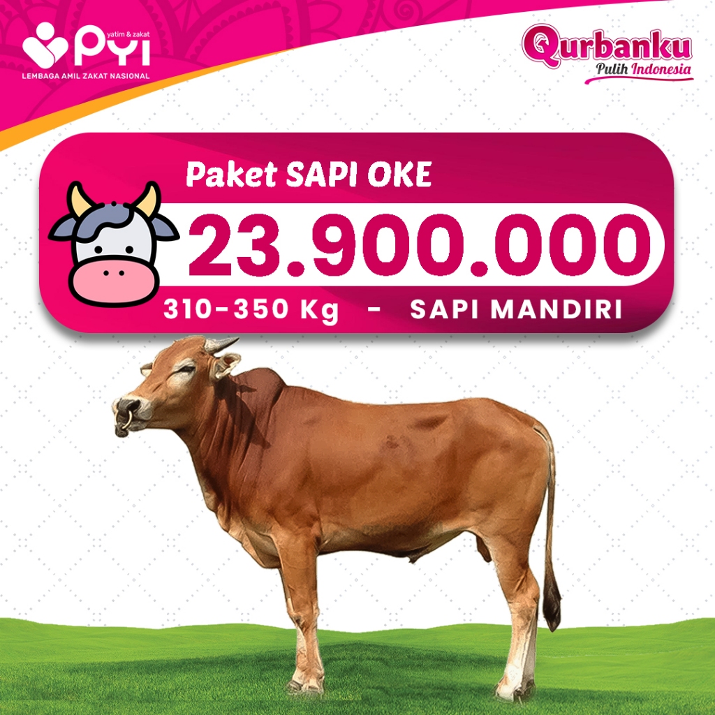 Qurban 2026/1447 H - Qurban Sapi Oke Mandiri Qurban Sapi Harga Ekonomis Qurban Online Amanah