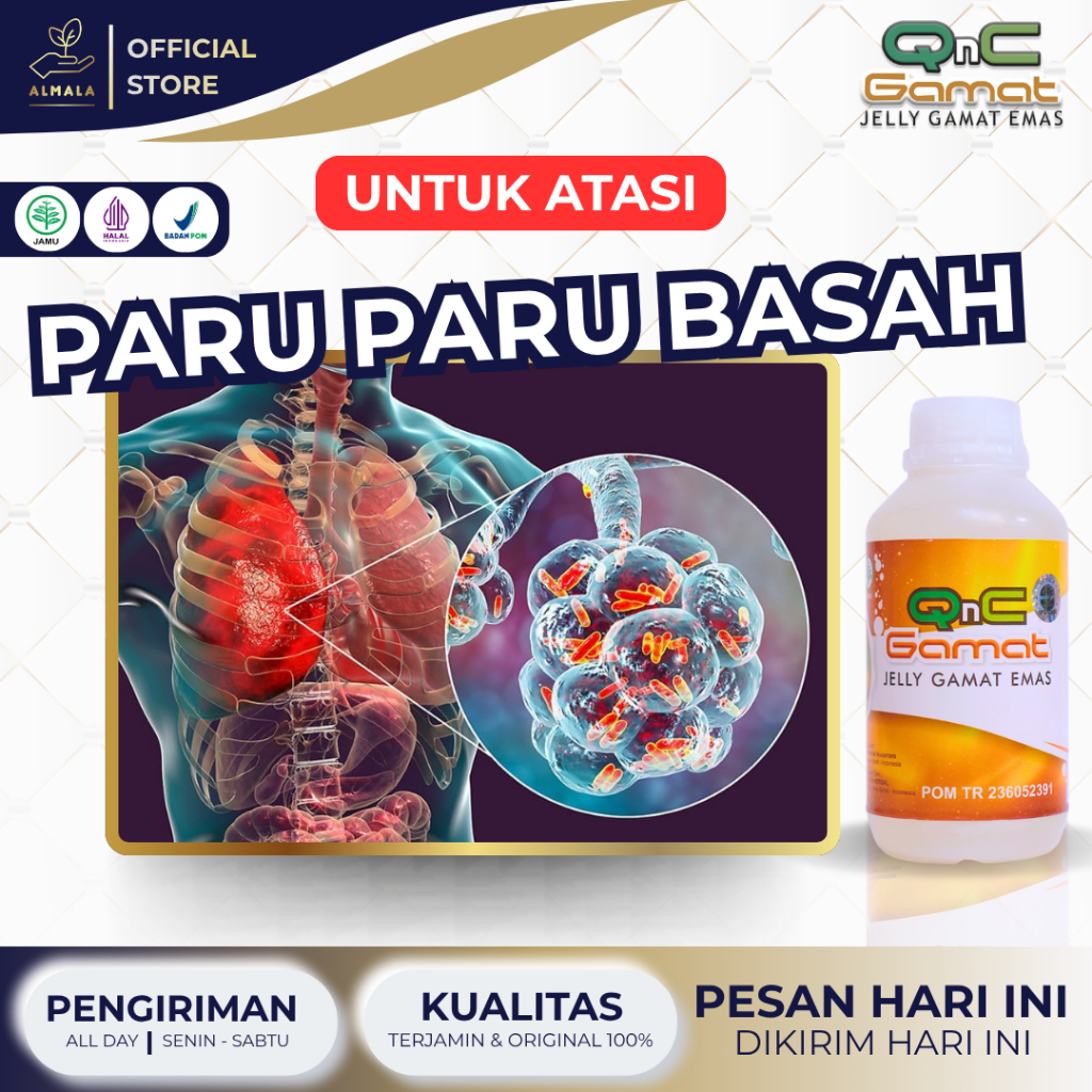 OBAT PARU PARU BASAH HERBAL - FLEK TBC Aman Untuk Anak Ekstrak Teripang Emas - QNC JELLY GAMAT