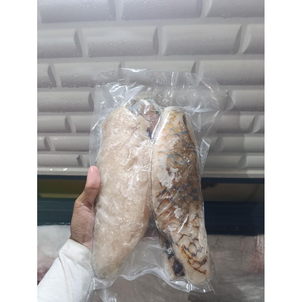 FILLET IKAN KAKATUA 500GR
