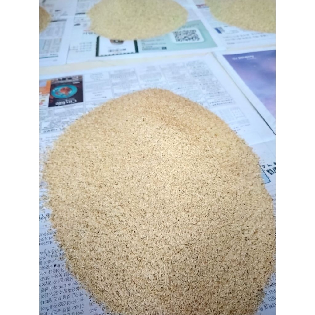 Telur Jangkrik Alam 800gram Kualitas Unggul