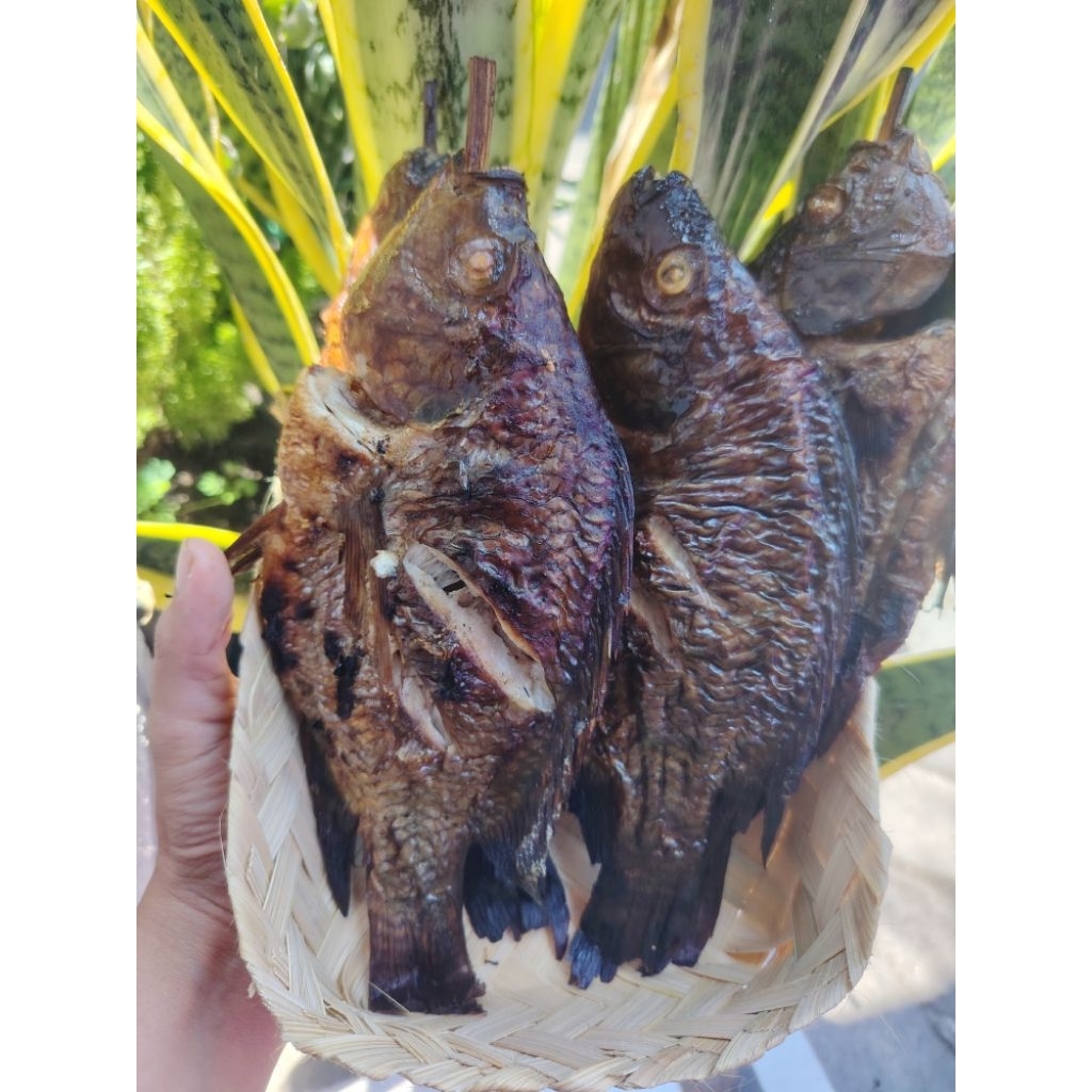 IKAN MUJAIR Asap 2 ekor