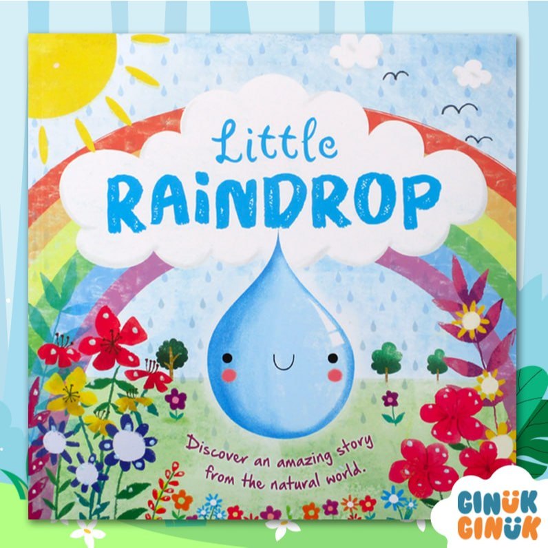 Little Raindrop picture story book