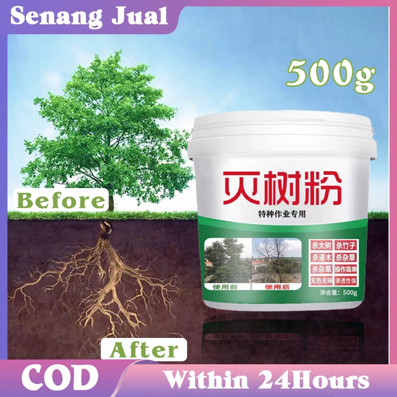 500g Bubuk Kill Grass Herbisida Rumput Bubuk Herbisida Untuk Bambu Dan Pohon Besar Pembasmi Pohon Be