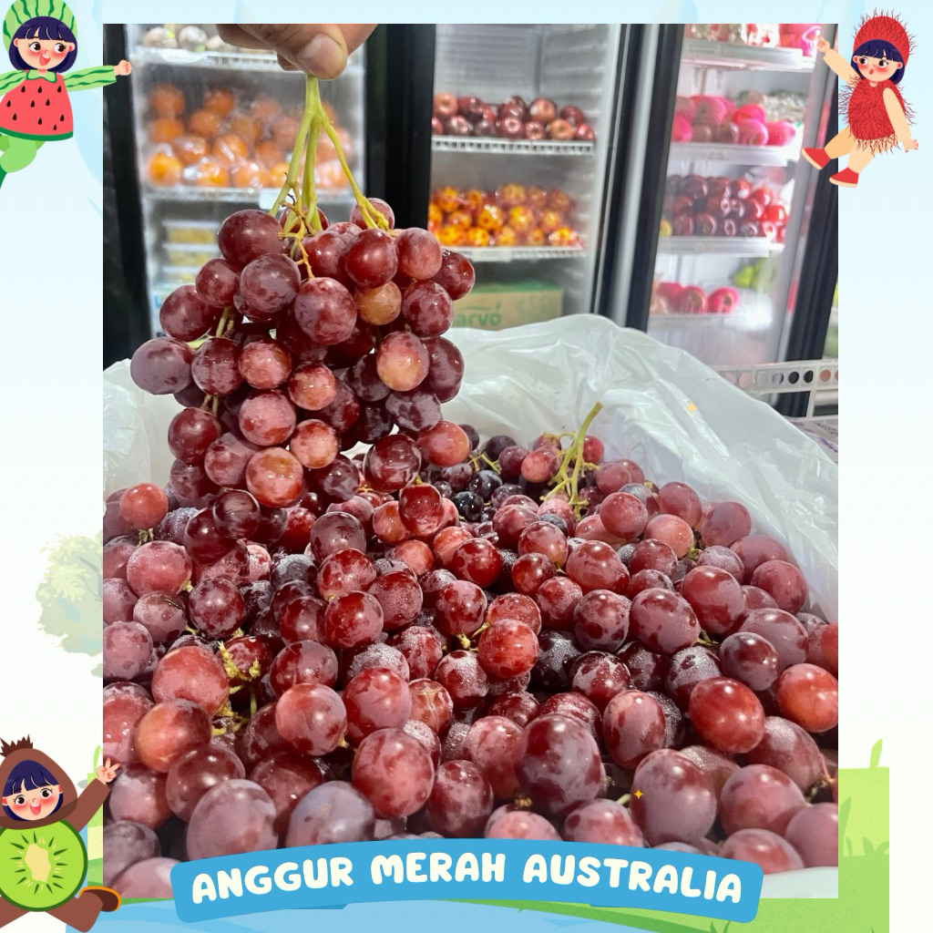 Anggur Merah Australia