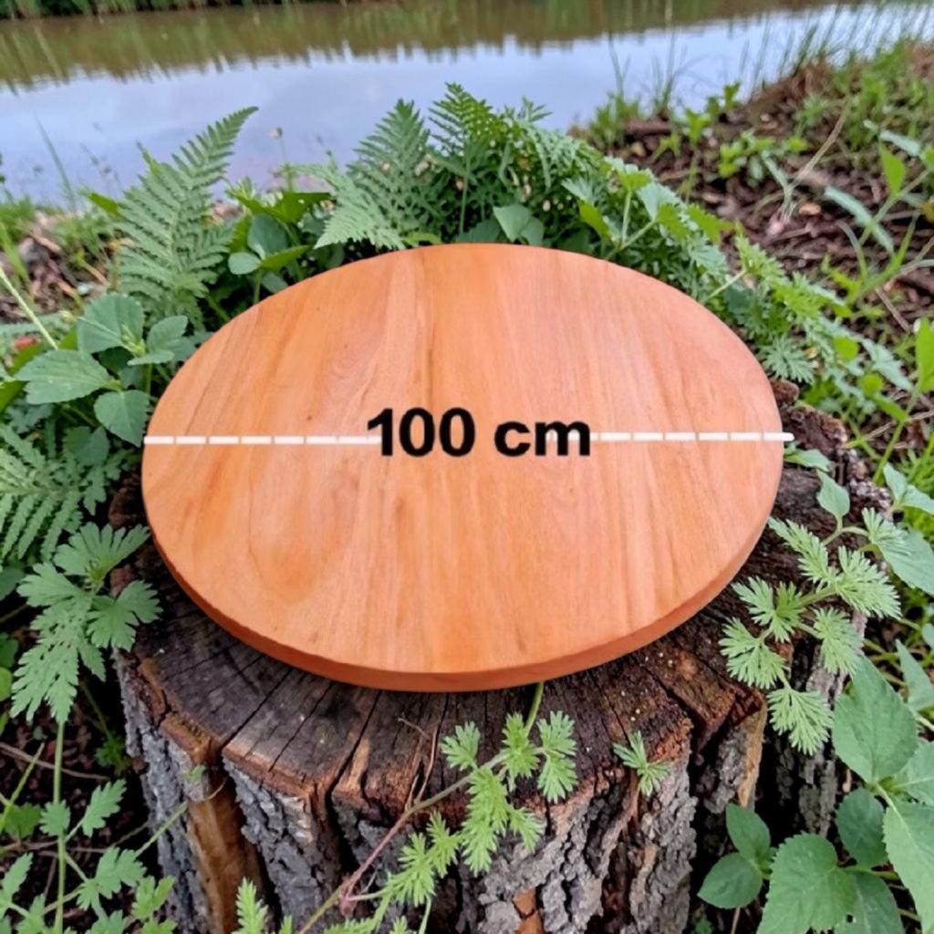 top Table papan kayu bulat daun meja bulat Diameter 100*2cm