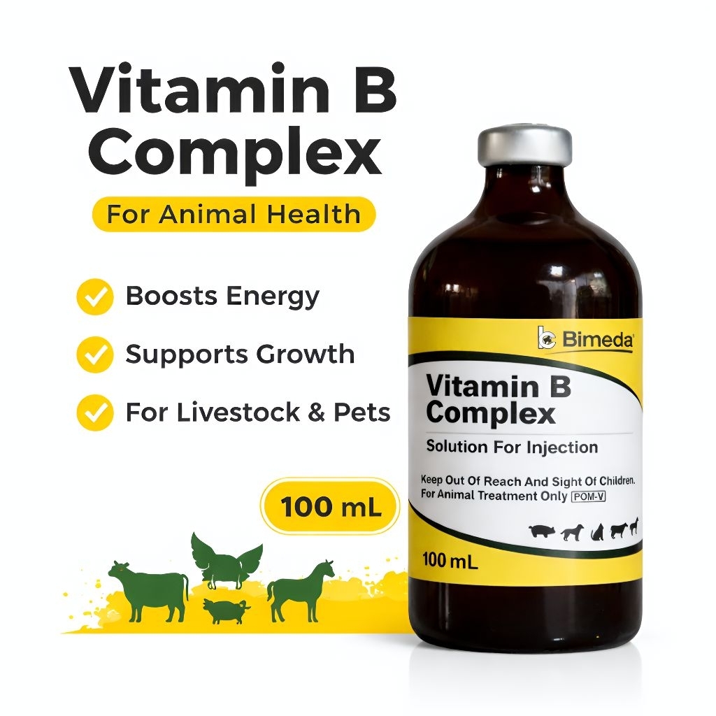 Vitamin B Kompleks Injeksi 100 ml untuk Hewan Ternak