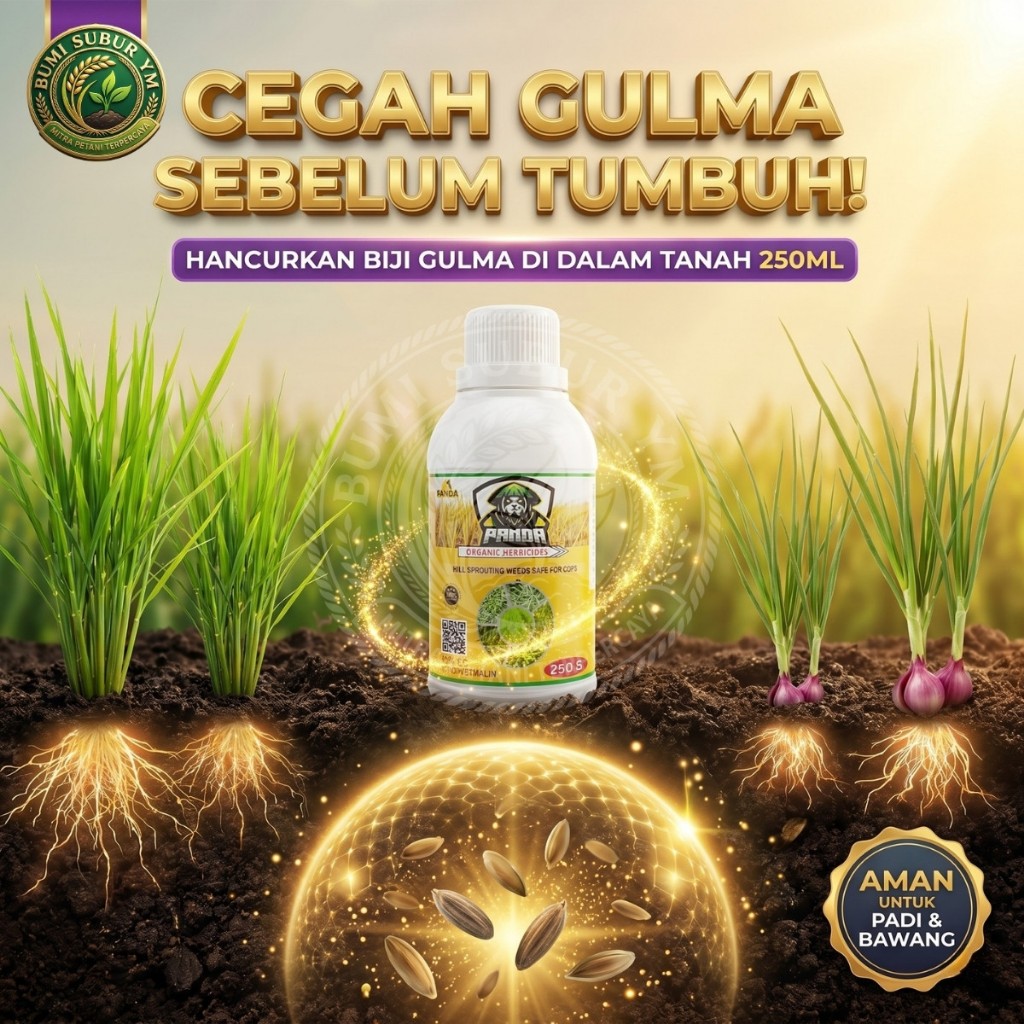 PANDA 250ML Herbisida Pratumbuh Obat Pembasmi Biji Gulma Rumput Liar Aman Untuk Padi Bawang Merah