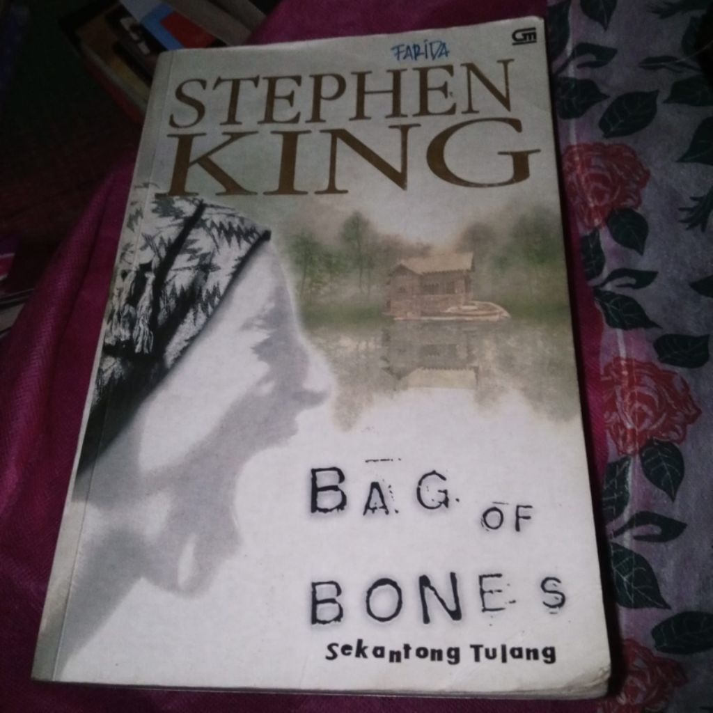 Bag of Bones, sekantong tulang/Stephen KING