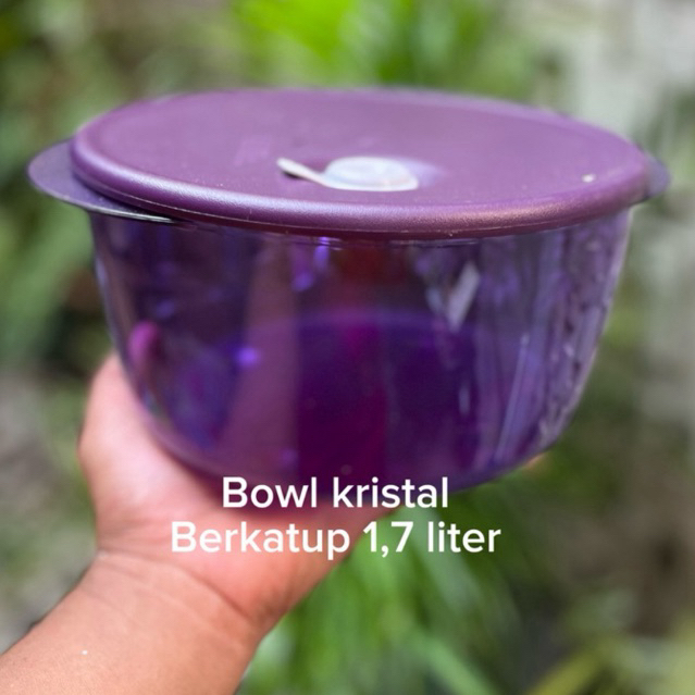 TEMPAT MAKAN KRISTAL /BOWL BERKATUP TUPPERWARE ORI