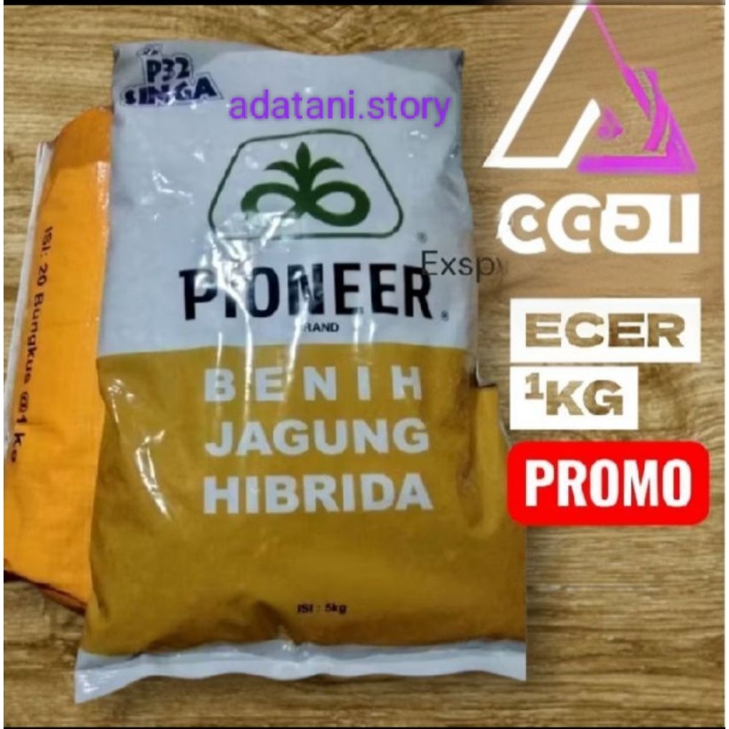 PIONEER P32 benih jagung hibrida ecer1kg
