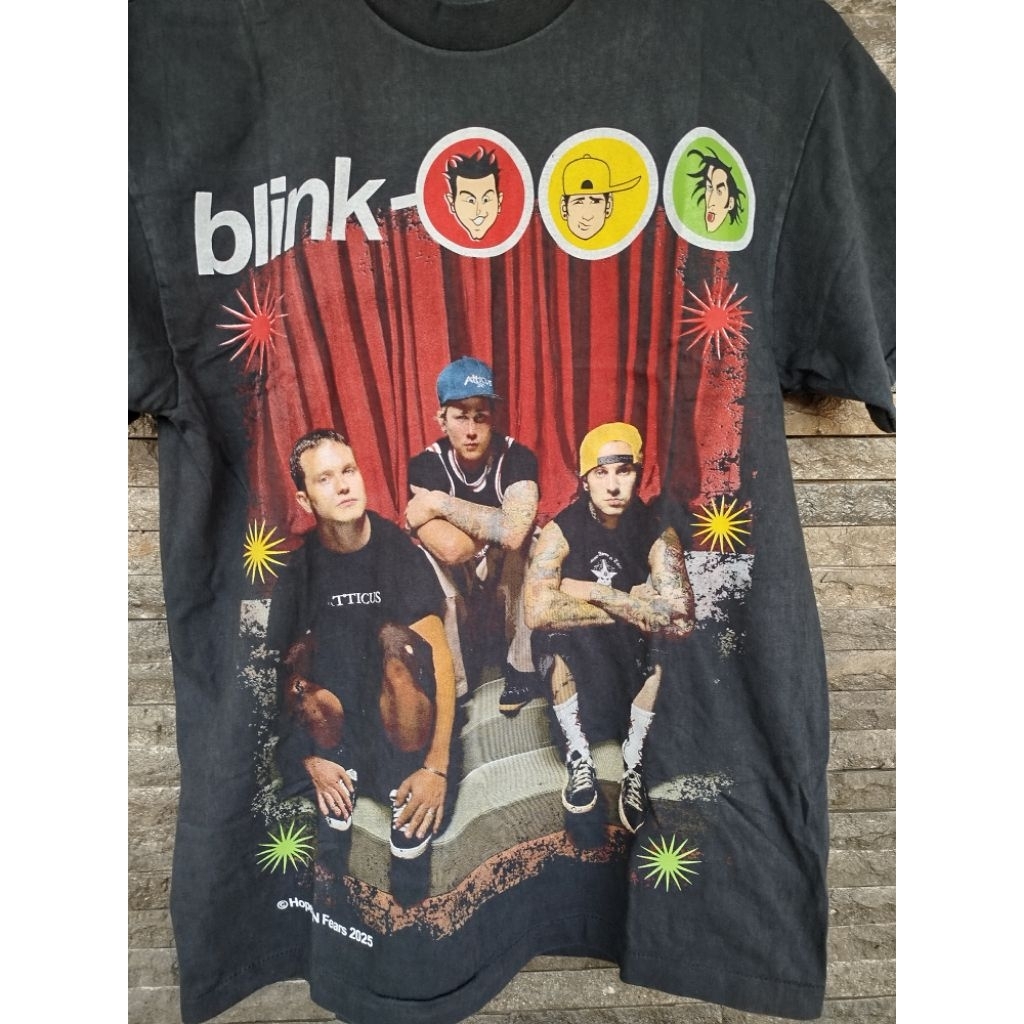 KAOS BOOTLEG BAND FADED BELEL GIANT TULTEX BROCKUM CARTOON NETWORK WILD OATS ONEITA VINTAGE BLINK 18