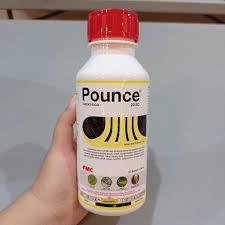 INSEKTISIDA POUNCE 20EC 500ML